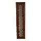Sawfish rostrum