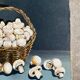 Oil painting on canvas The mushrooms of Paris