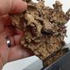 Organic Sculpture Brutalist Modernist Midcentury Gilded Bronze Casting