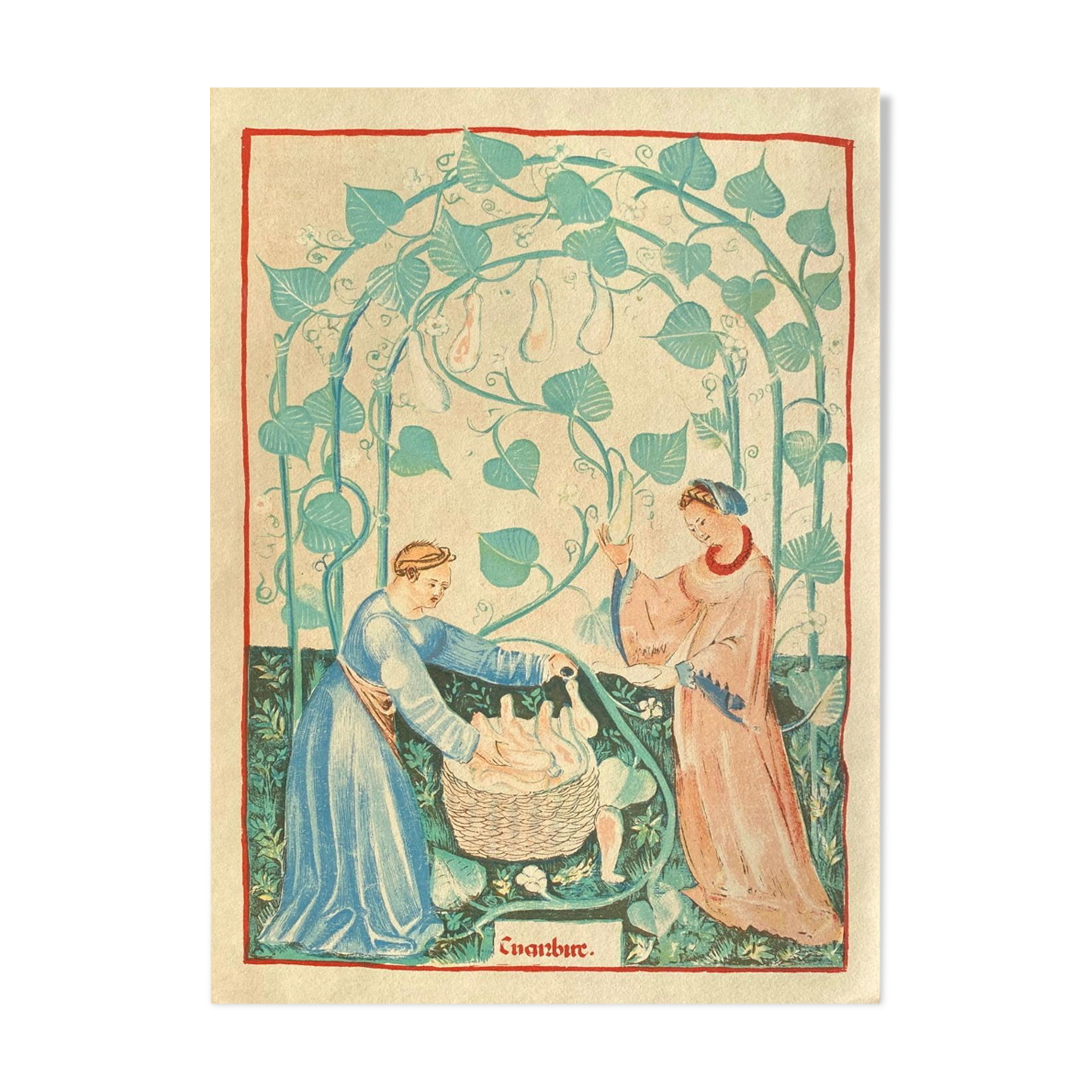 Lithographie vintage la cueillette des fruits