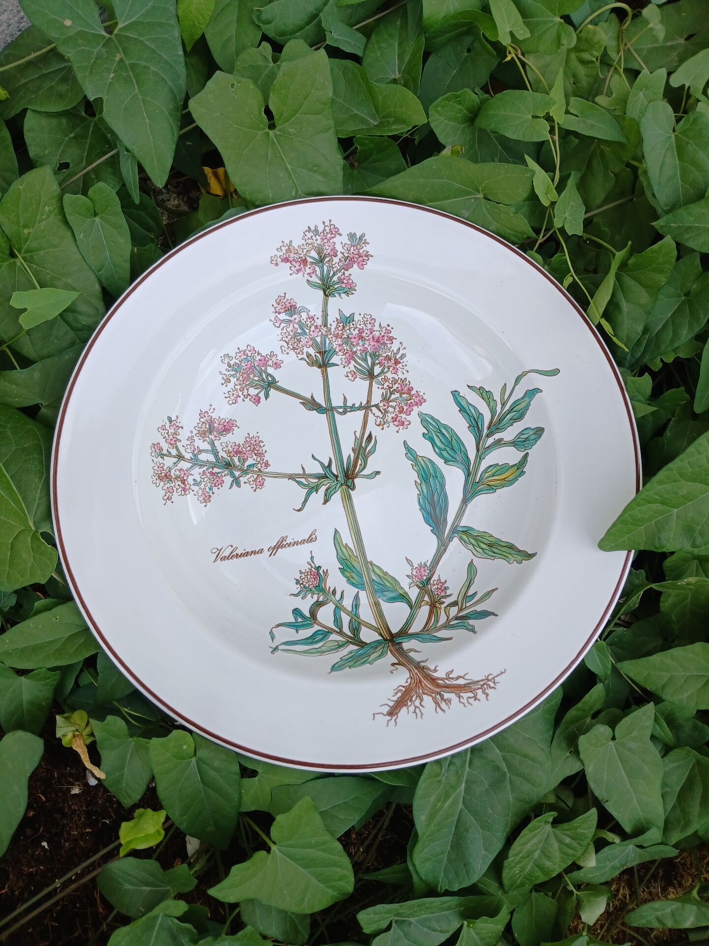 Assiette creuse Villeroy et Boch