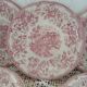 10 antique dinner plates