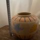 Vase fish sea beach shell