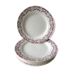 Set of 6 dinner plates ceramic Saint Amand 50s