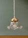 Vintage glass lampshade pendant light