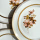 8 Petites assiettes en porcelaine OLYMPIA motif fleuris et dorure