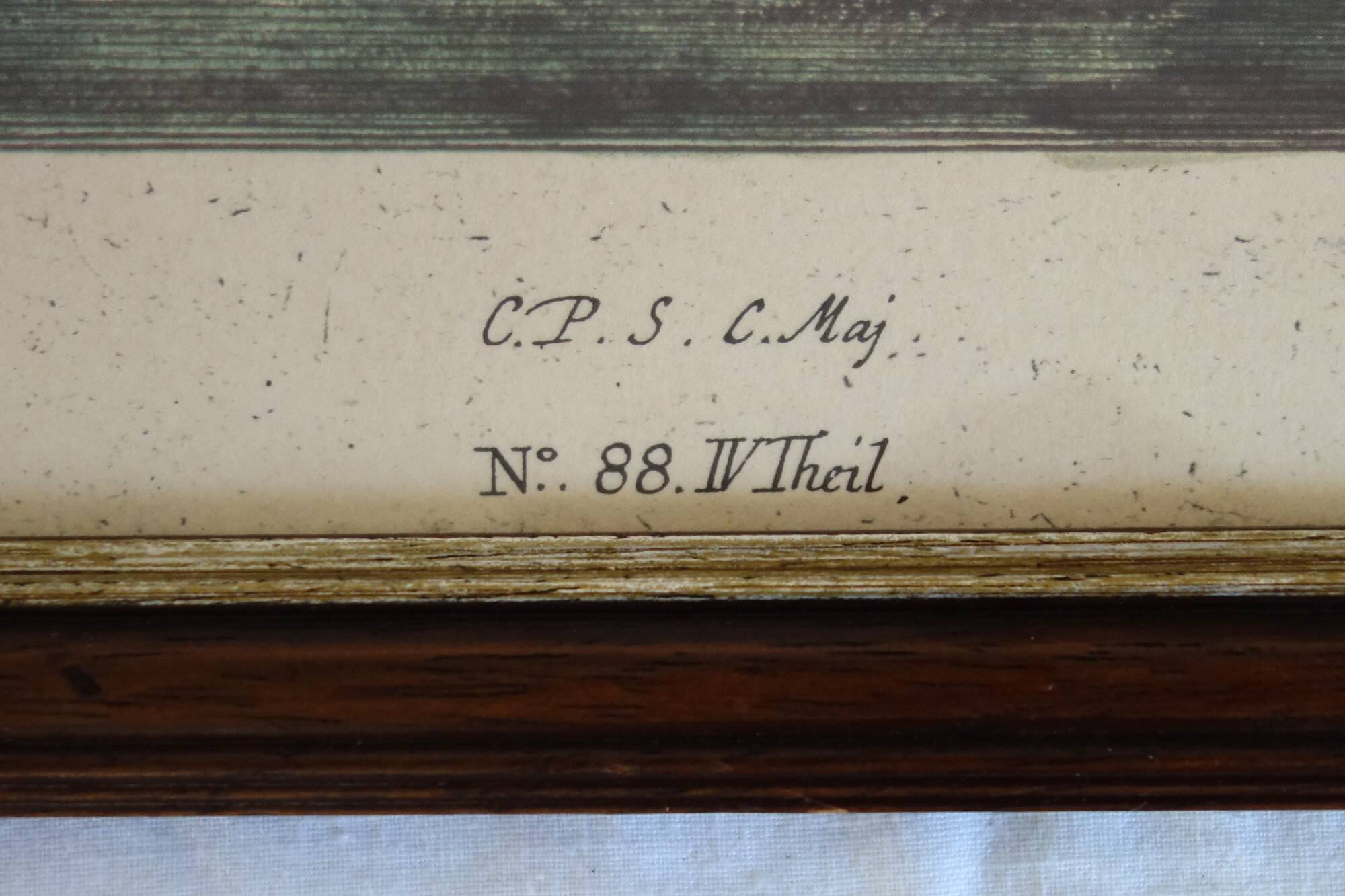 2 plates of ornithological bird engravings