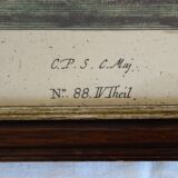 2 plates of ornithological bird engravings