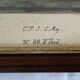 2 plates of ornithological bird engravings