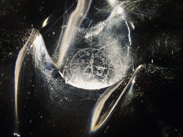 Coupe en cristal de Baccarat