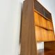 1950s Vintage Walnut Cabinet by Franz Ehrlich for Hellerau
