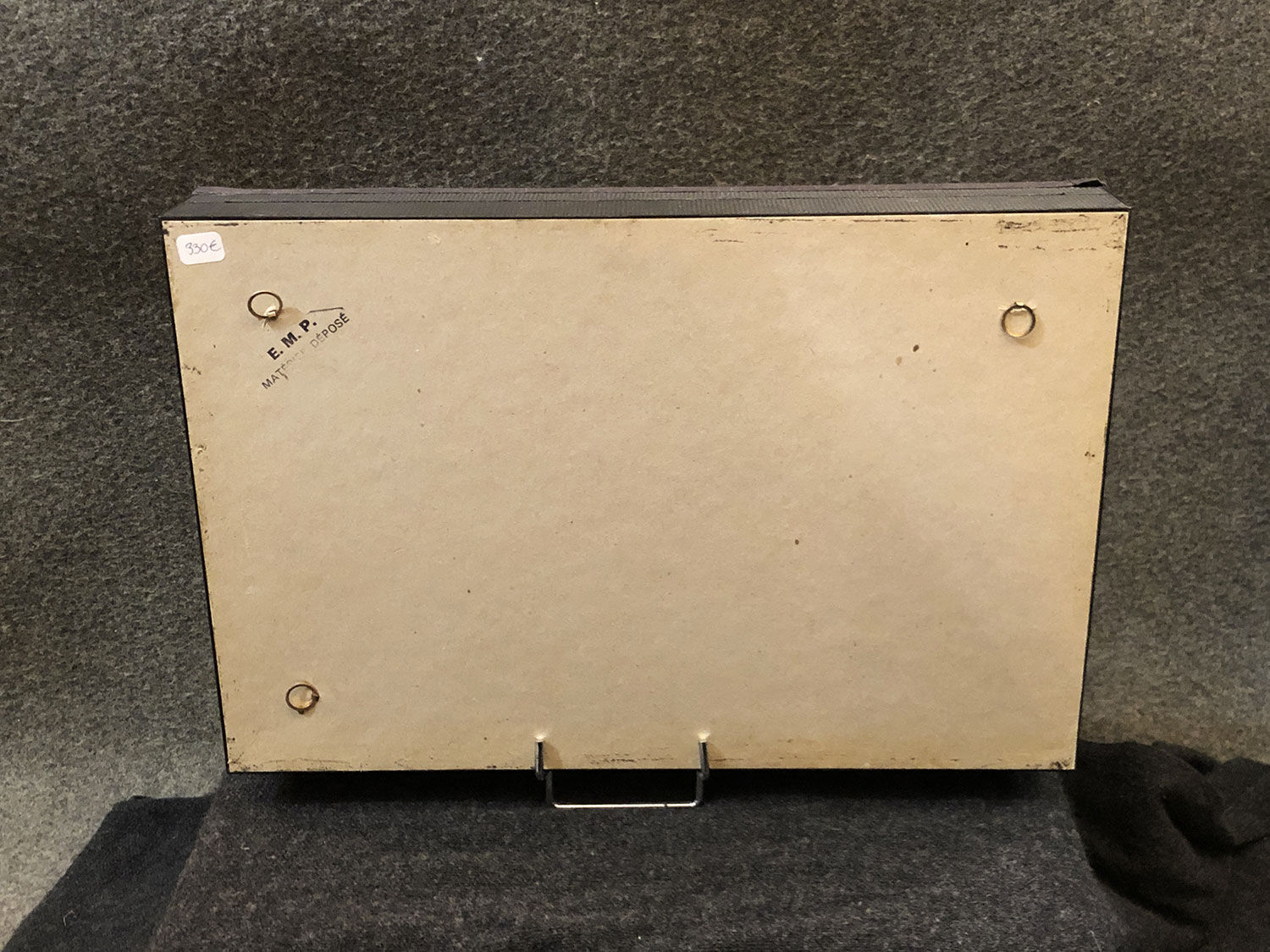 Vitrine naturaliste crânes de campagnols et musaraignes, XXe siècle