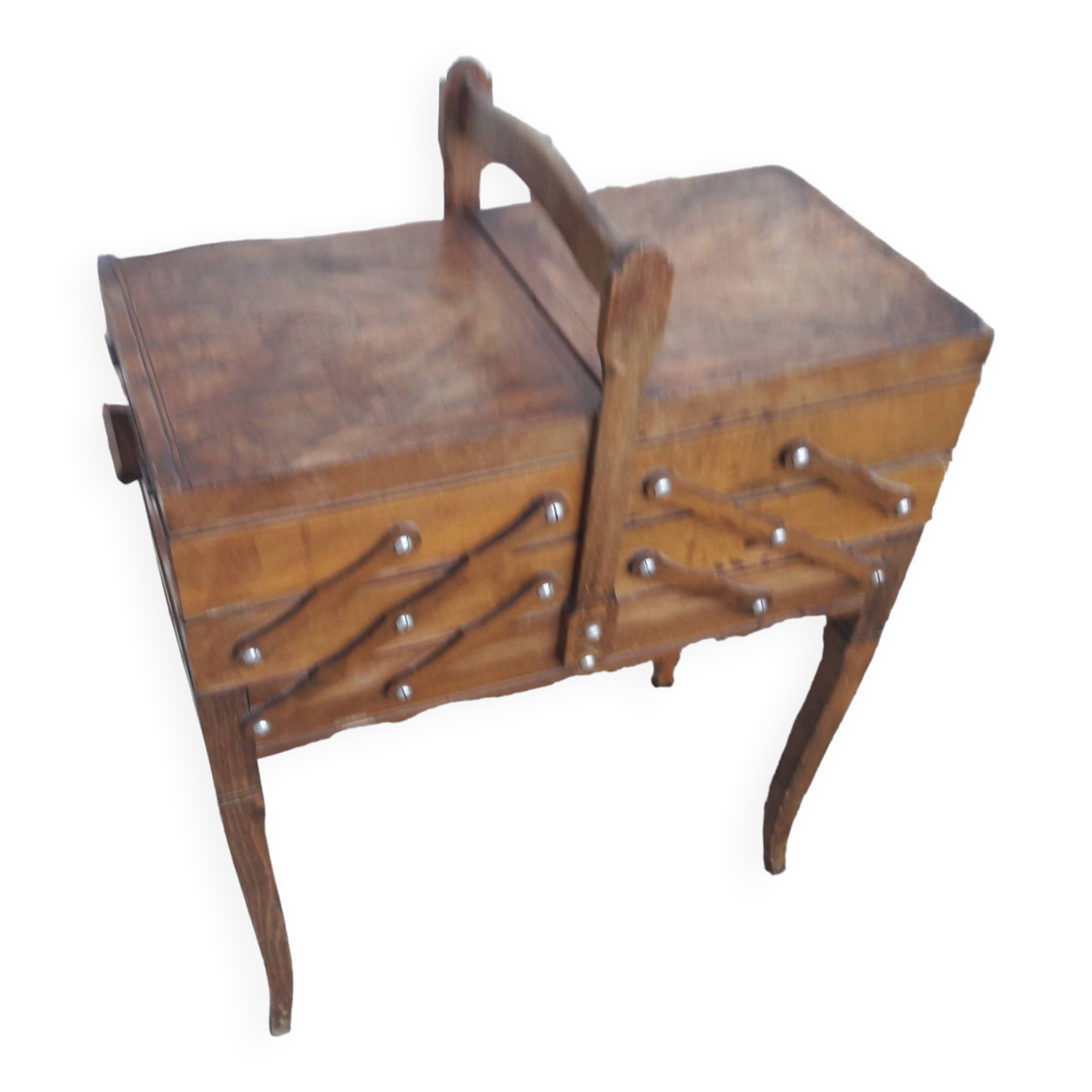 Wood and marquetry worker