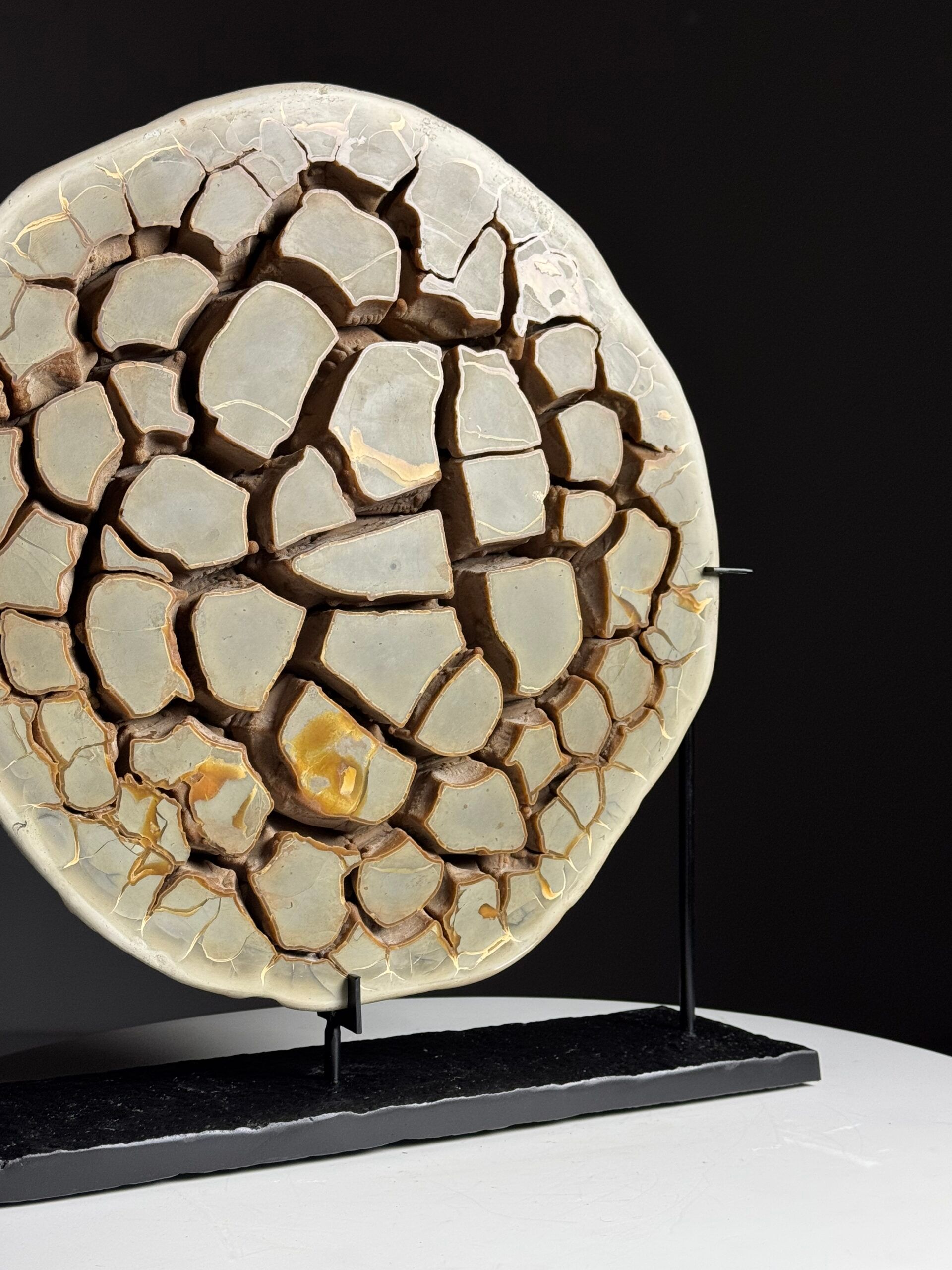 Septaria nodule on custom stand