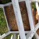 6 chaises blanches en bois assises paillées