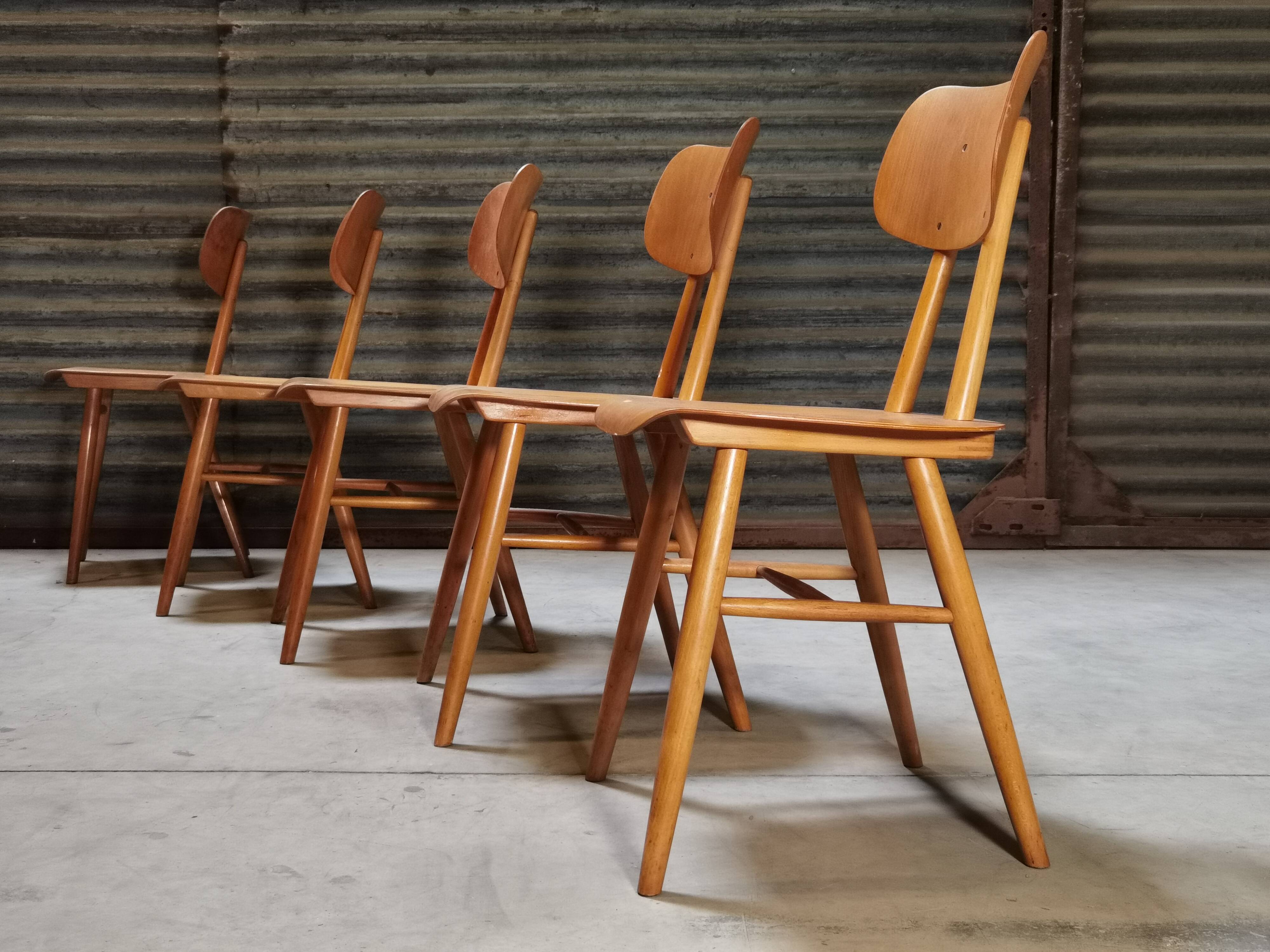 Set of 5 all-wood chairs published by Ton 1960