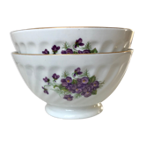 Duo of vintage 50s purple flower bowls made in France