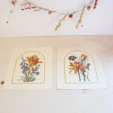 2 botanical plates from art and decor 104 serie 1