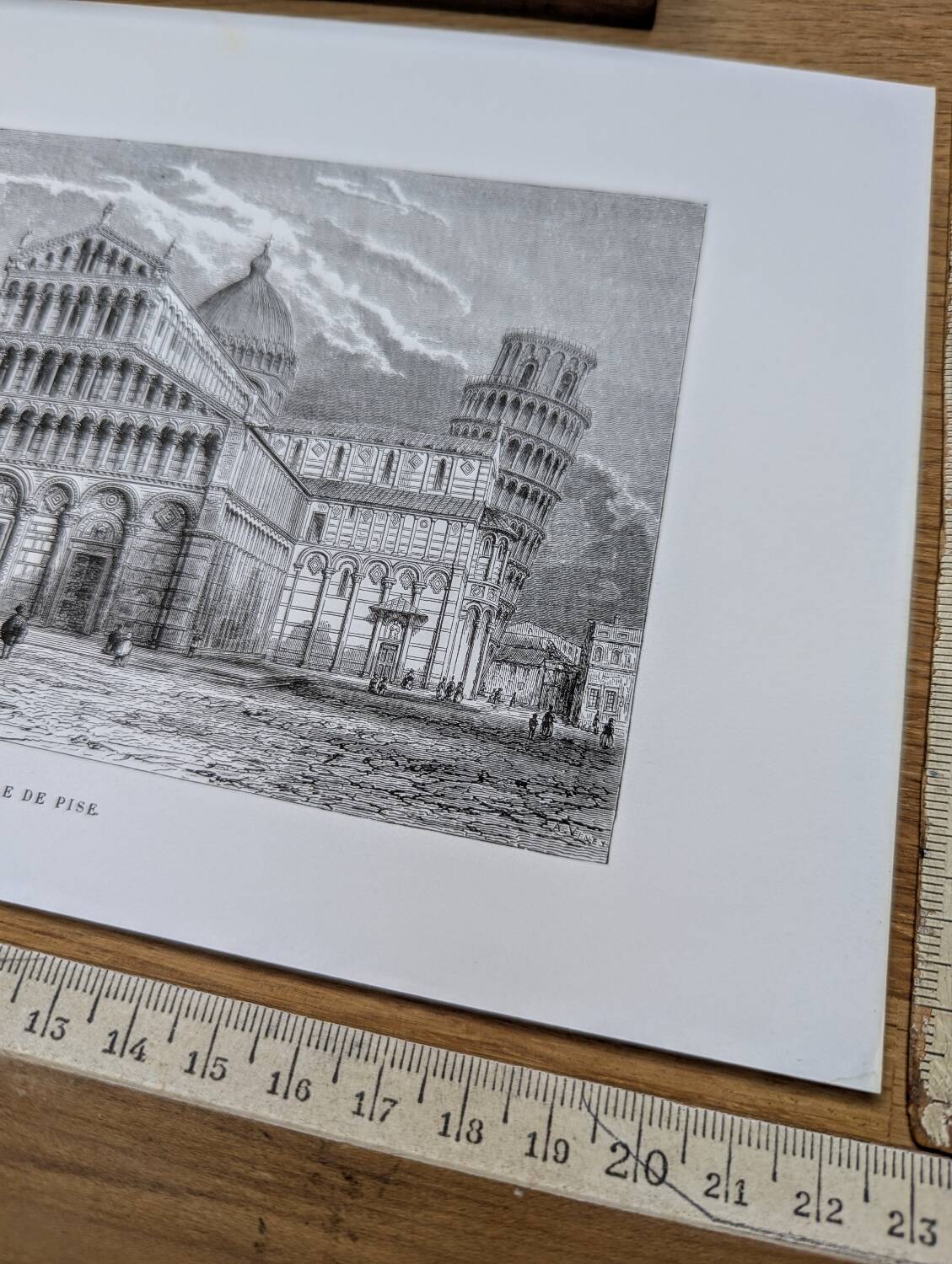 Pisa, Italy, the Cathedral and the tower. Antique engraving, 1867.