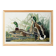 Poster about the Mallard Duck, based on an old engraving from 1827.