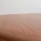 Baumann extendable round table
