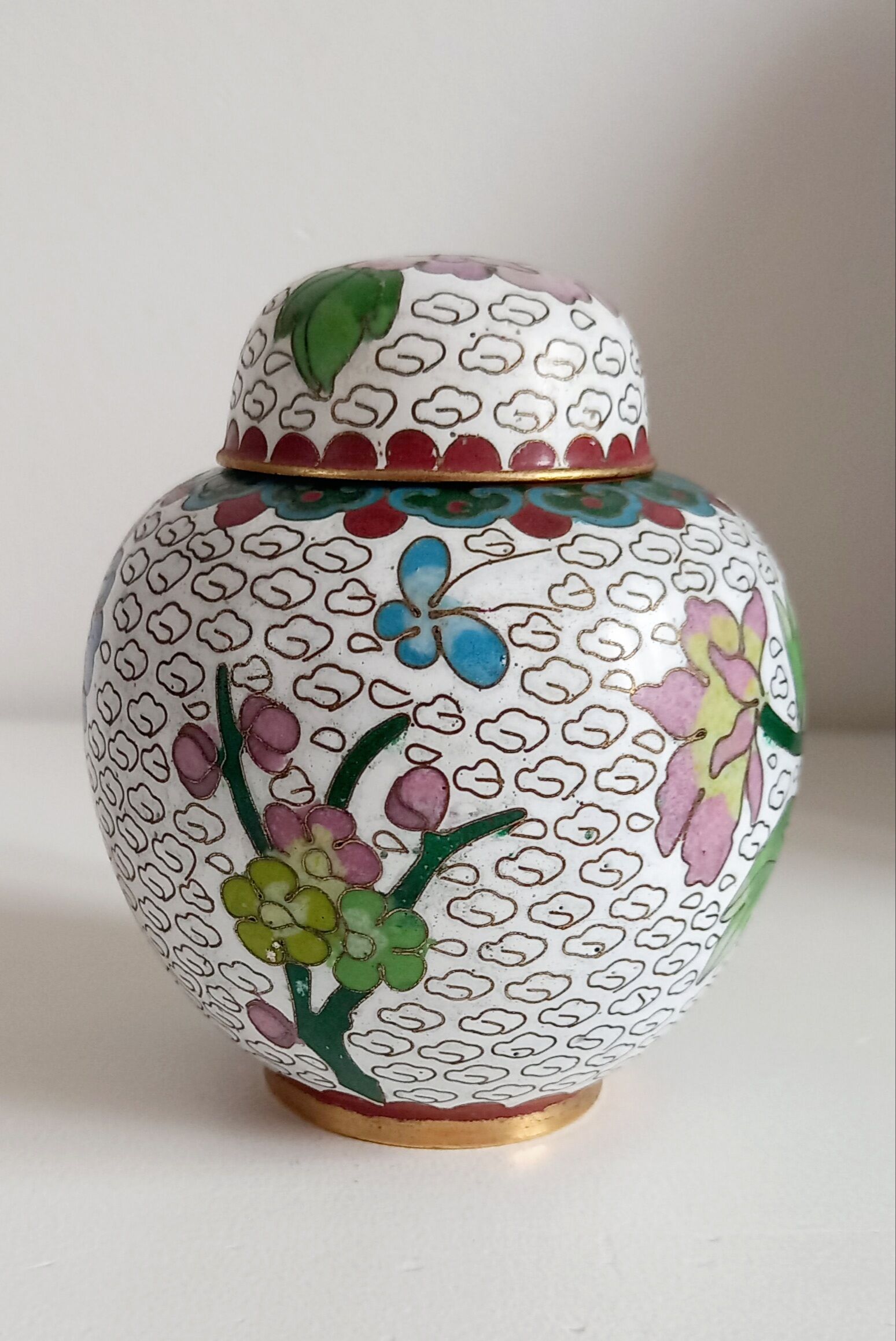 Partitioned ginger pot