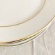 White and gold porcelain dinner plates
