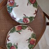 Pair of plates dabbling