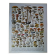 Lithographie originale sur les champignons