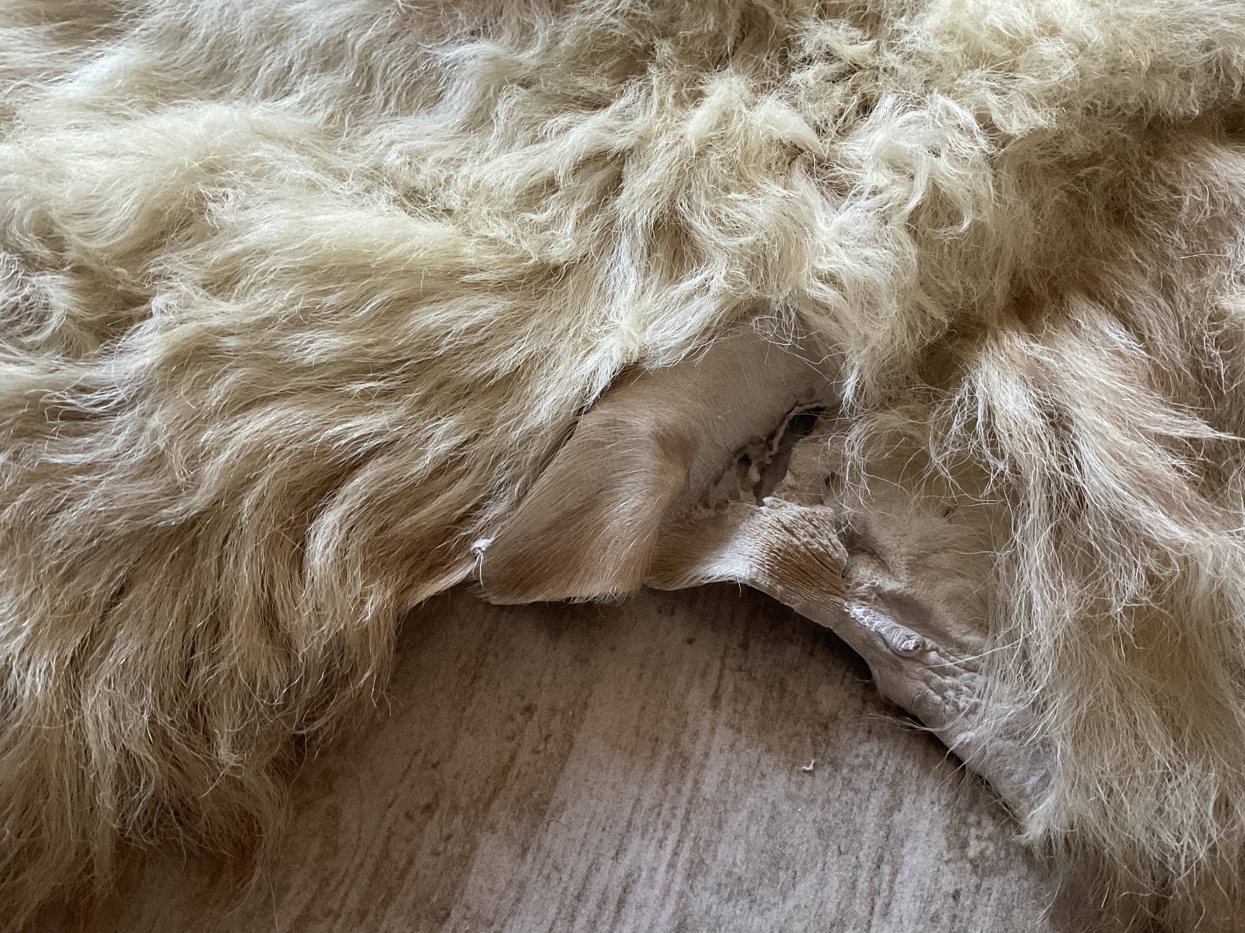 Sheep skin or angora goat