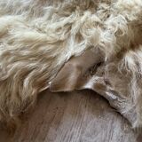 Sheep skin or angora goat