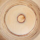 Set of birch wood plates by Eero Saarinen for Keuruu 60s
