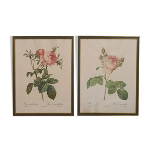 Gravures botaniques Rosa par Rémond