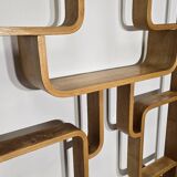 Room Divider by Ludvik Volak for Drevopodnik Holesov, 1950s
