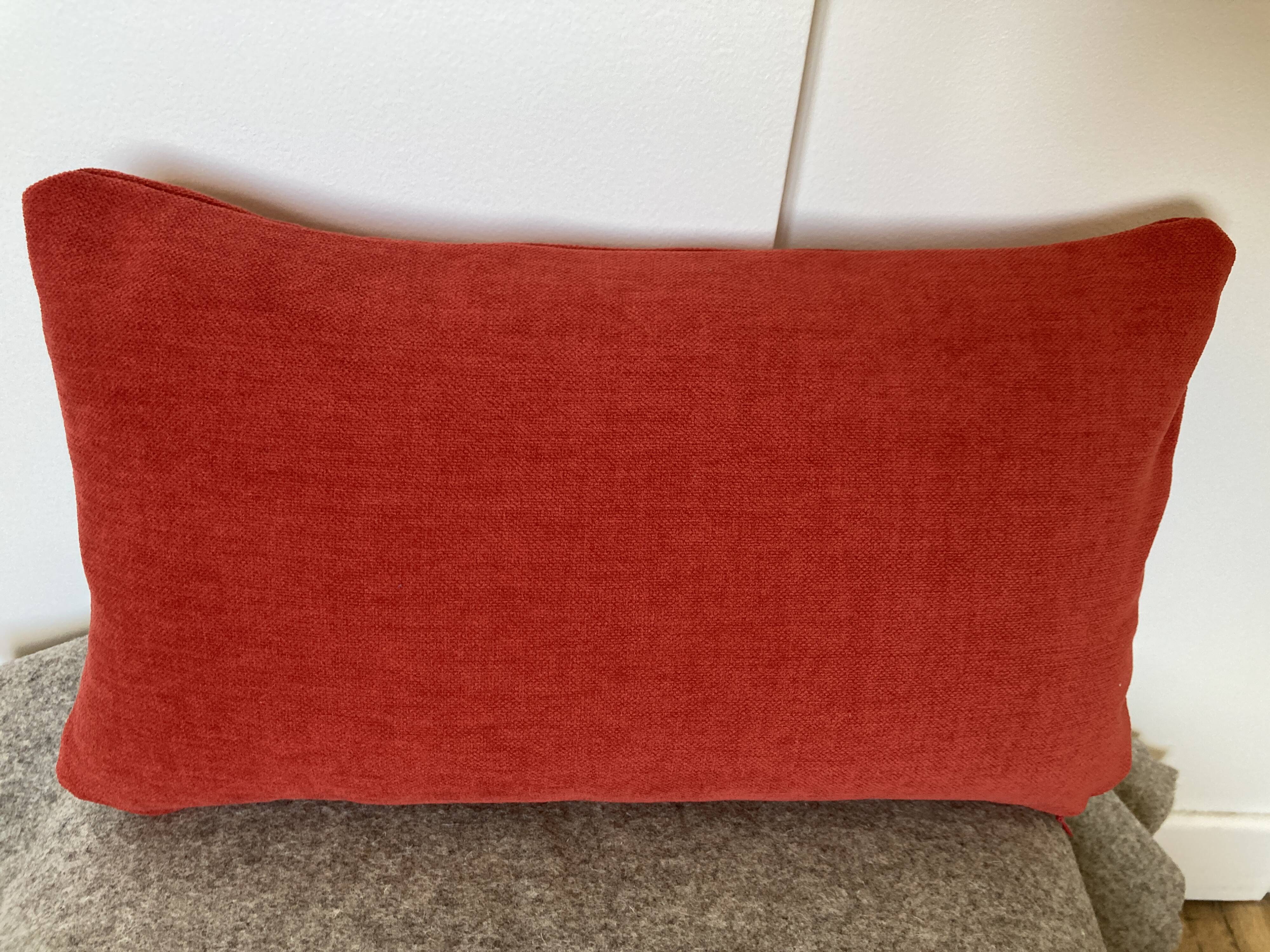 Aqua Clean Red Cushion