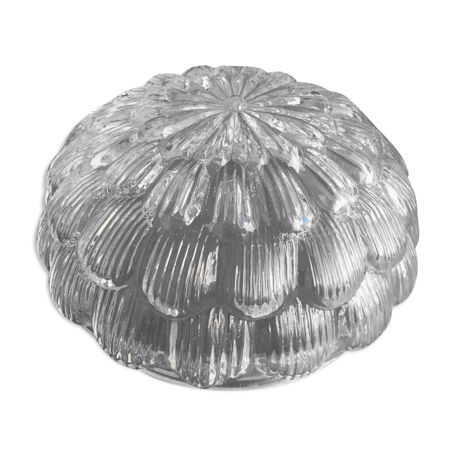 Flower globe in worked glass