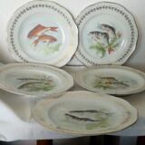 5 assiettes de service a poisson en porcelaine de france digoin n*1