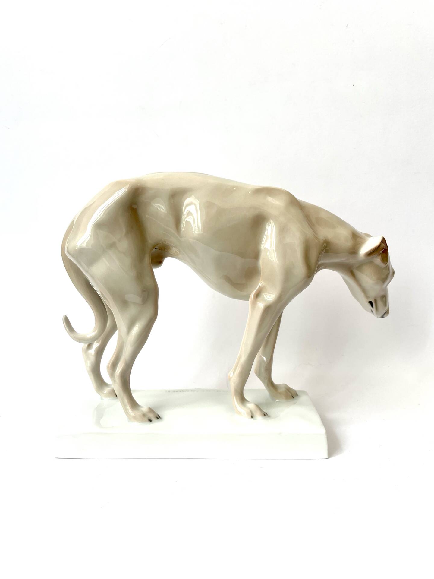 Lévrier par Dorothea Moldenhauer, Rosenthal, 1920