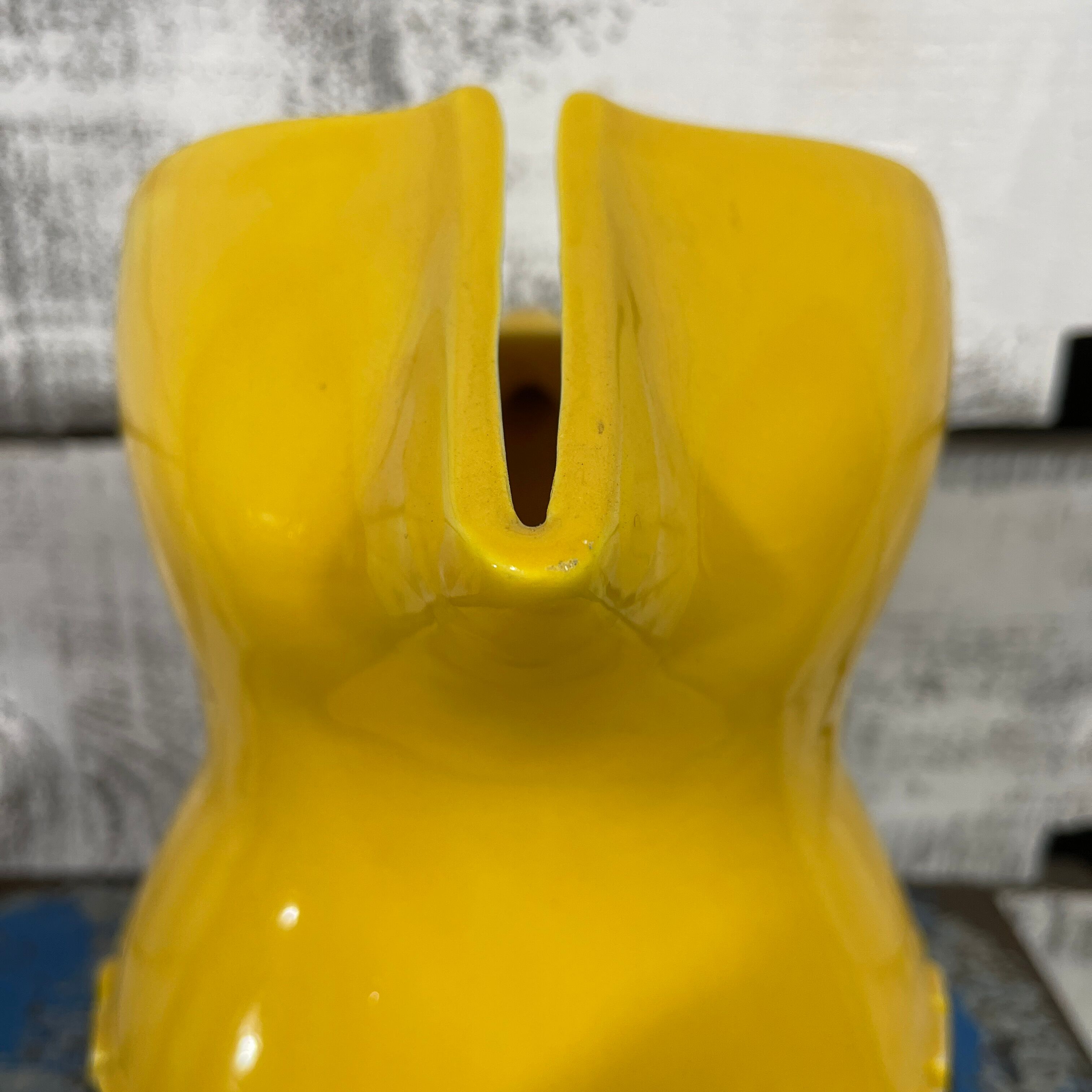 Pichet berger jaune 3l