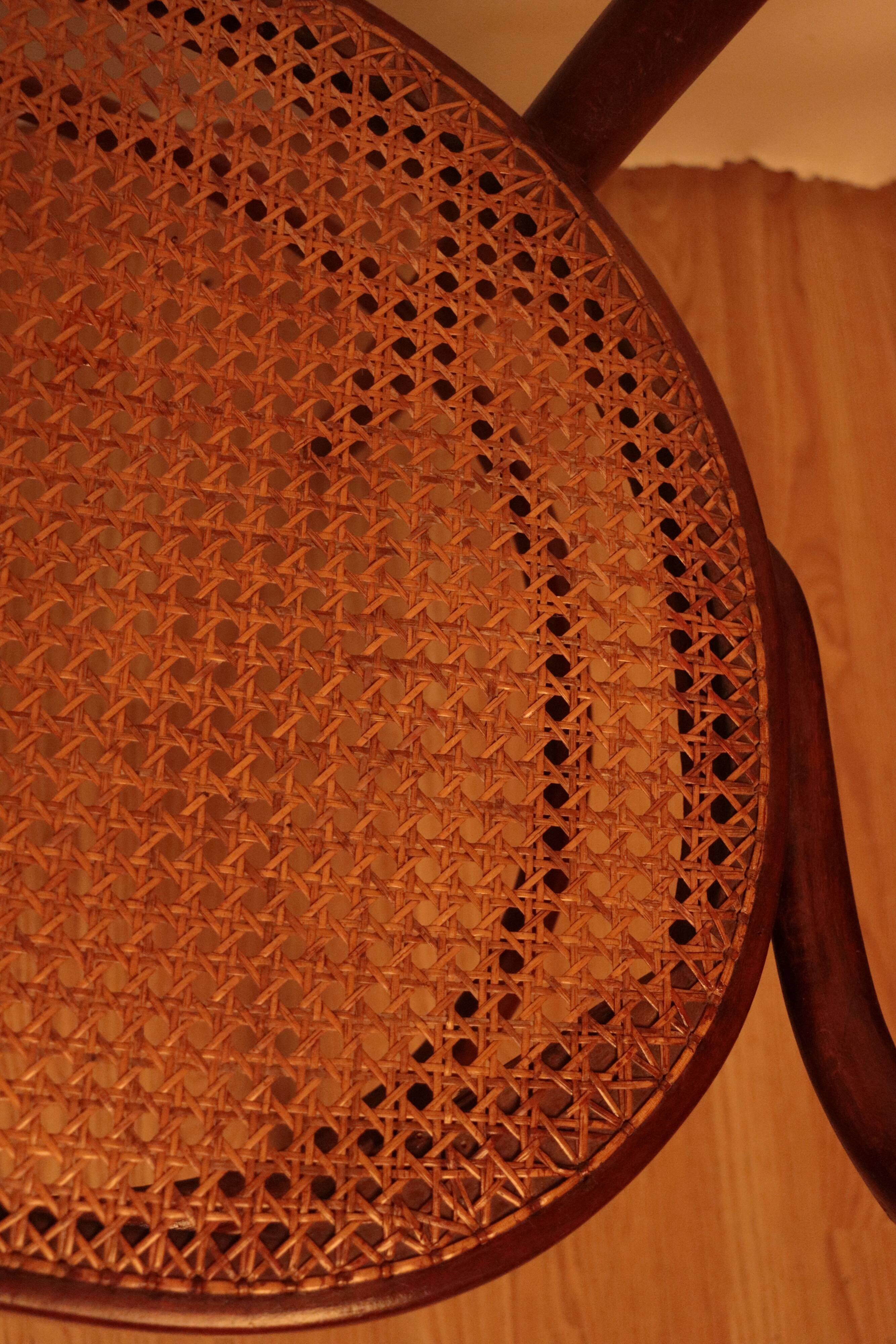 Bench n°18 curved wood