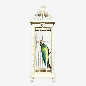 Vintage lacquered wood bird cage with a parrot inside circa 1970