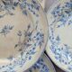 Plates for dessert antique porcelain romantic iron earth Sarreguemines epine