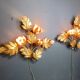 Pair of Vintage leaf wall lights by Hans Kögl, 1970s