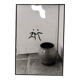 Artist's film photography