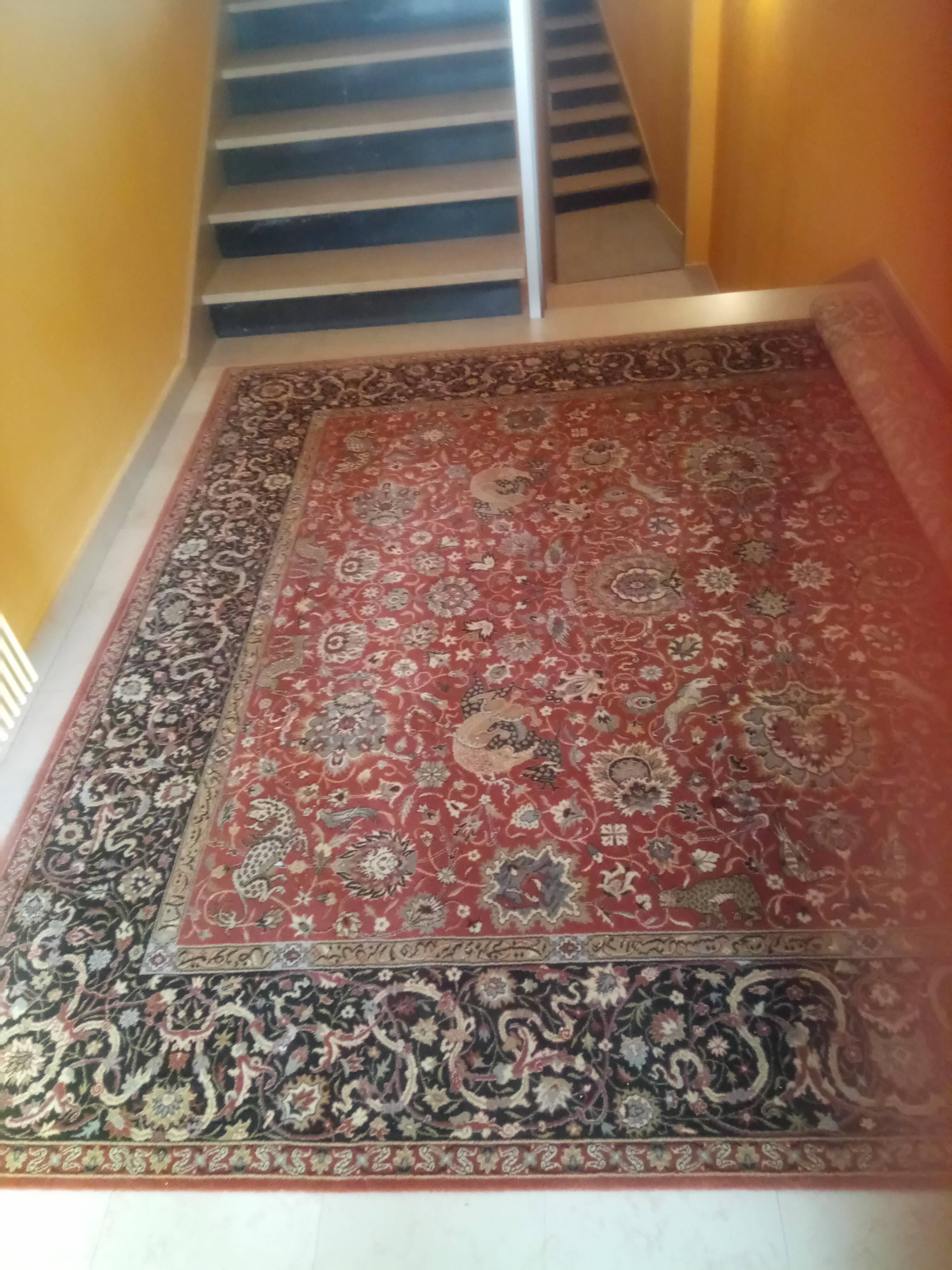 Nordpfeil rug - ref "queen" design 7004/170