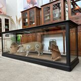 Large display counter from the early 20th century