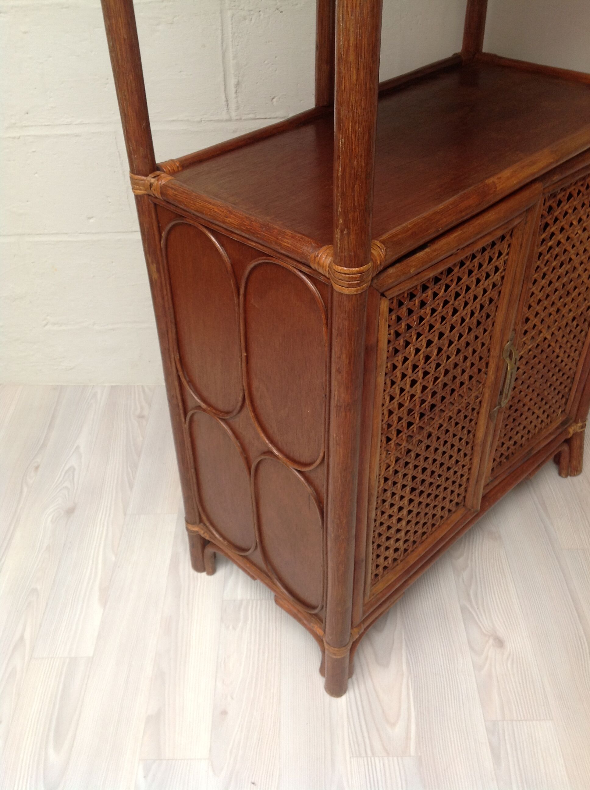 Rattan and canning library