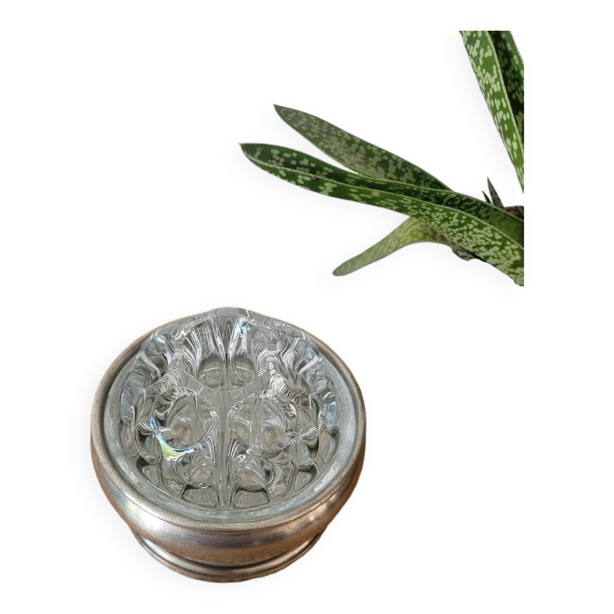 Reims glass flower vase with tin support