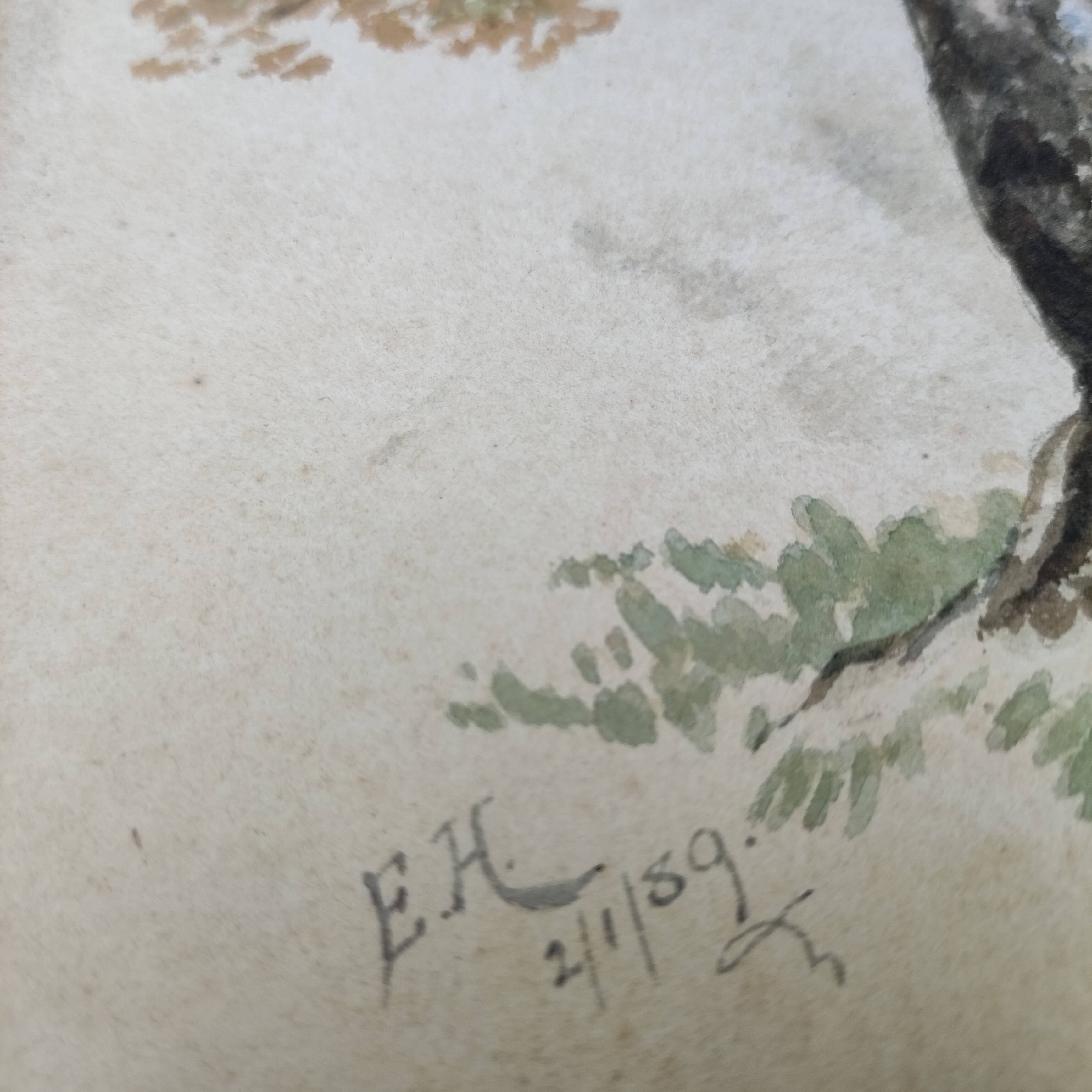 Watercolor on old paper, pattern oak