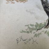 Aquarelle sur papier ancienne, motif chêne